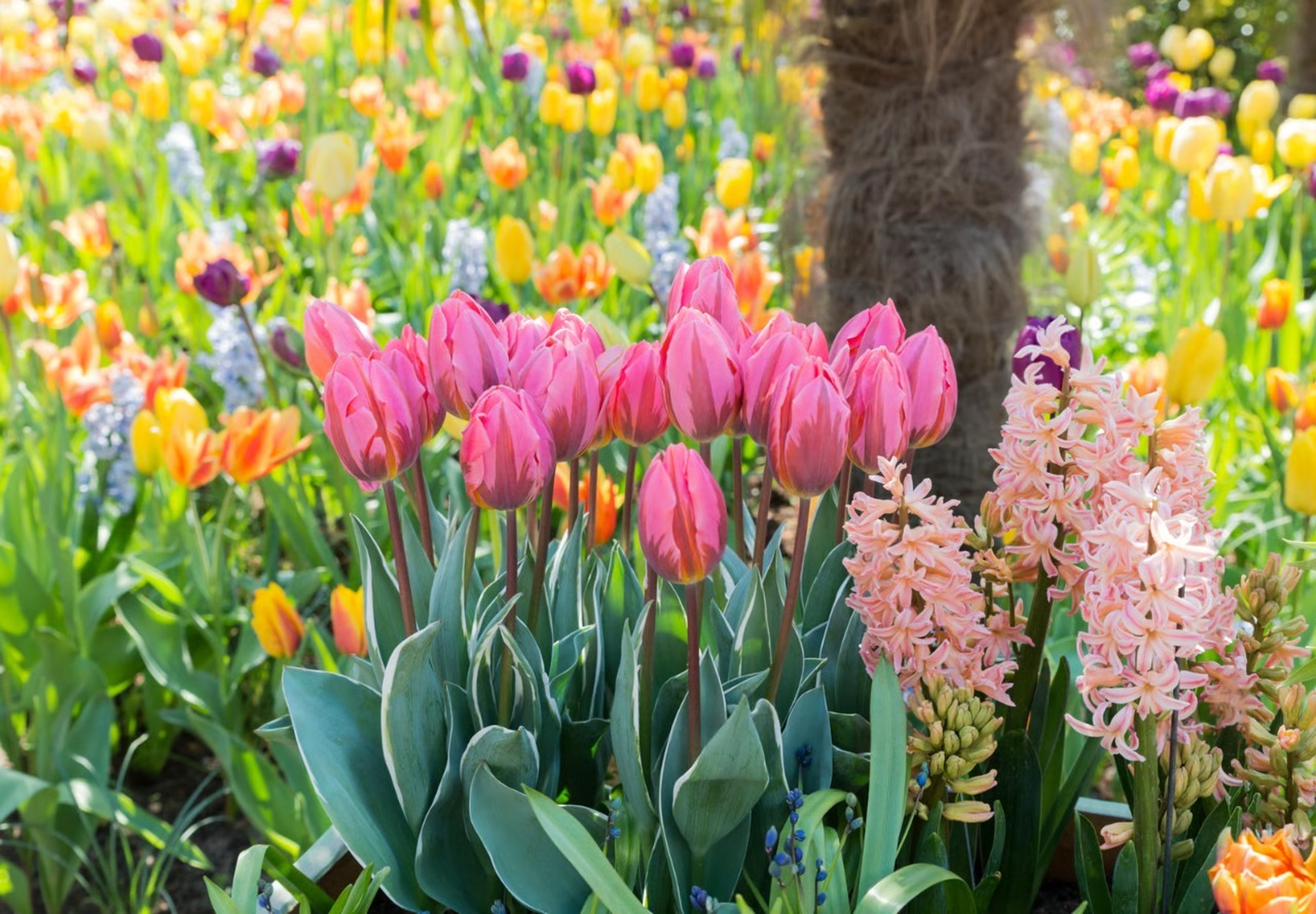 Make the most of your spring savings